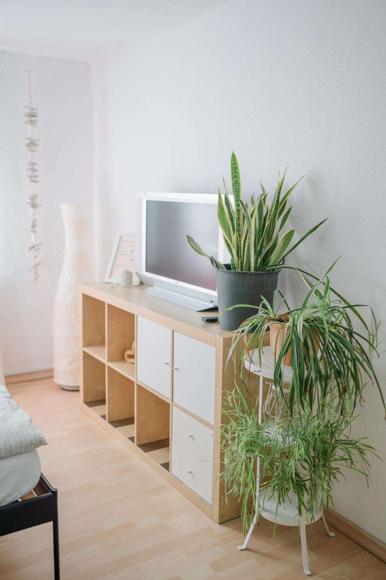 Breitscheid  Buchlindenweg - Zimmer & Ferienwohnung المظهر الخارجي الصورة